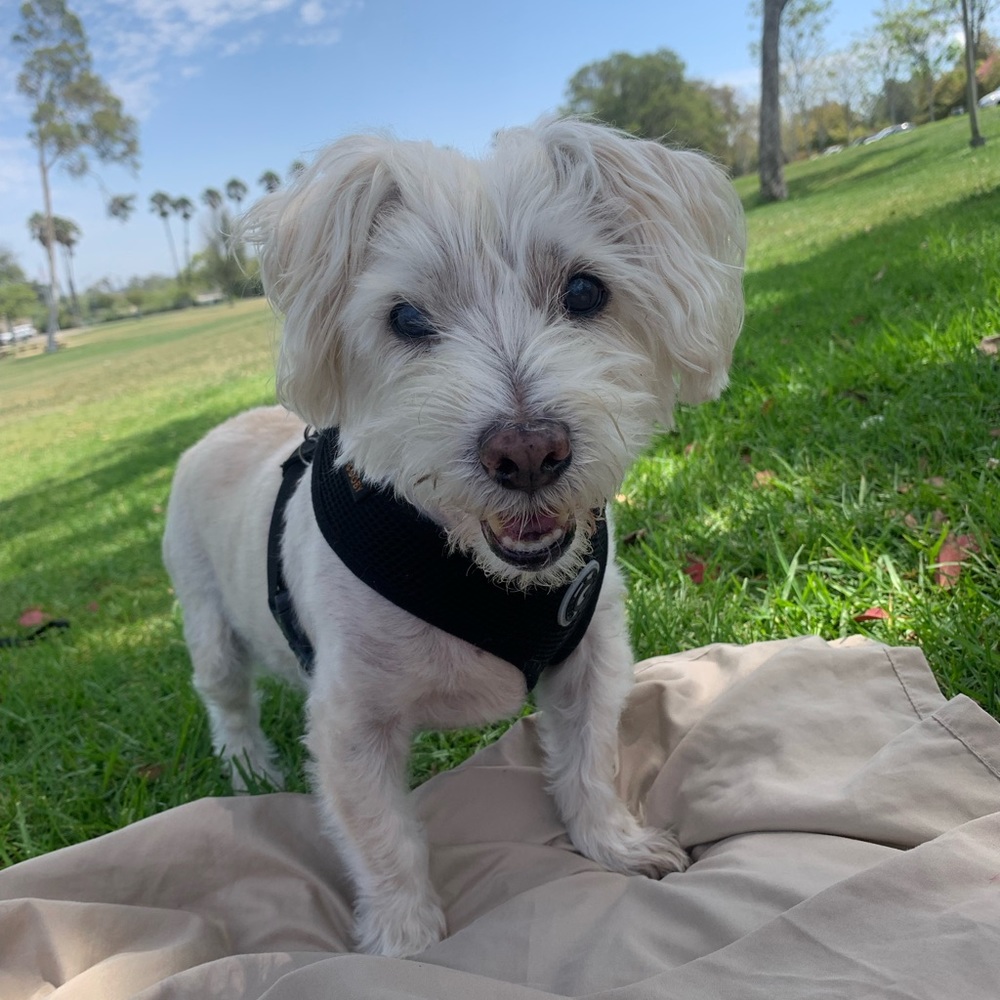 Meet your Posher, Kimberly